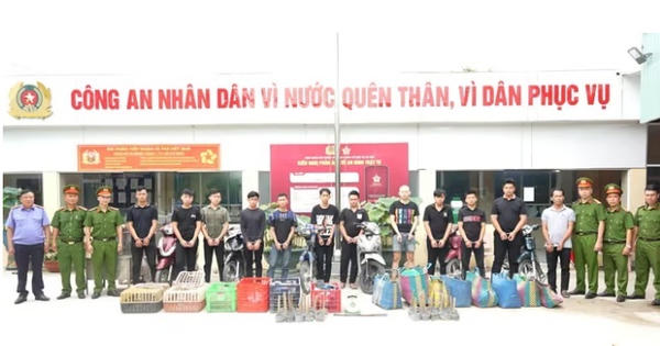 Triệt phá băng nhóm trộm cắp 2.700 con mèo, bắt giam 12 đối tượng