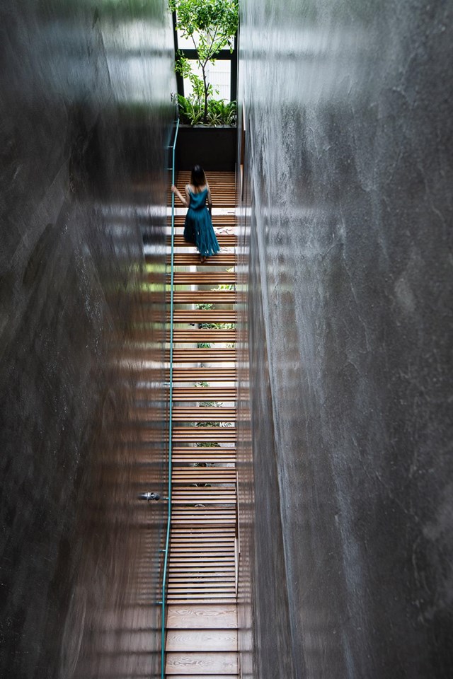 &Yacute; tưởng thiết kế của Vy Apartment dựa theo h&igrave;nh ảnh ng&ocirc;i nh&agrave; nằm giữa vườn. Kết cấu cầu thang lam gỗ treo được bố tr&iacute; ở tầng trệt vừa l&agrave; trục giao th&ocirc;ng ch&iacute;nh vừa th&ocirc;ng gi&oacute; cho to&agrave;n bộ kh&ocirc;ng gian trong nh&agrave;.