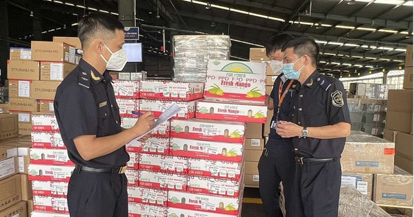 Kiến nghị Hải quan gỡ vướng khi thông quan các lô hàng sản phẩm động vật và sản phẩm thủy sản tươi sống, đông lạnh nhập khẩu
