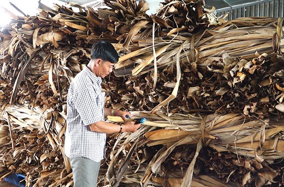 cà mau tháo gỡ khó khăn cho nông sản