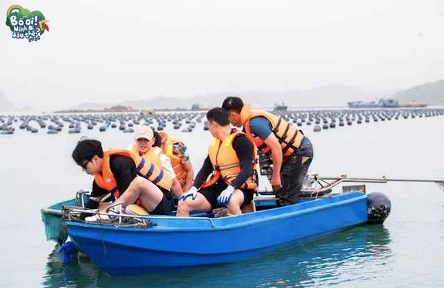 C&aacute;c bố h&igrave; hục ch&egrave;o ra b&atilde;i h&agrave;u để thu hoạch h&agrave;u.