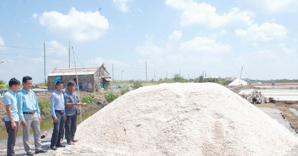 Xã Đông Hải (Cà Mau) tìm giải pháp ổn định diện tích, nâng sản lượng và giá trị nghề muối 