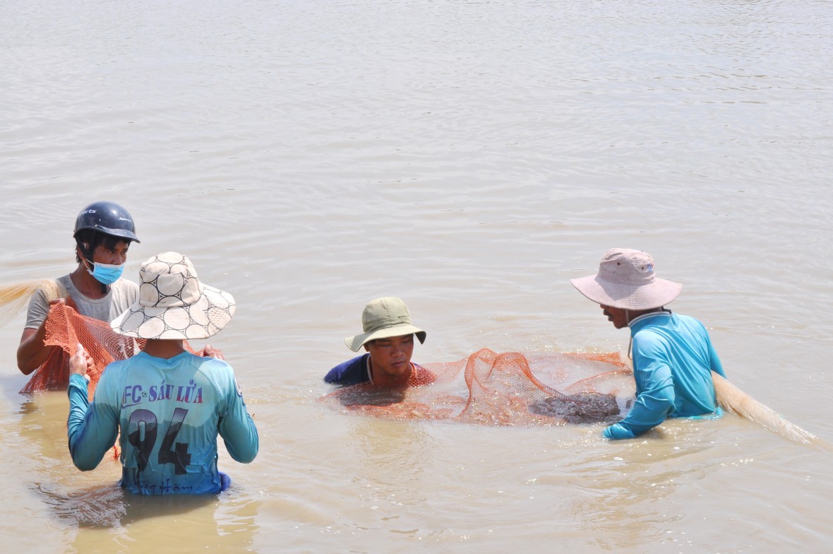 Xã Hòa Bình (Cà Mau) bứt phá mạnh mẽ trong vận hành chính quyền địa phương hai cấp