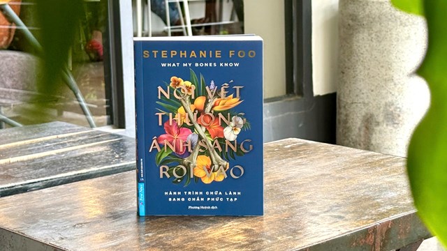 ‘Nơi vết thương ánh sáng rọi vào’ - Bức tranh đa màu và chân thực về Sang chấn Phức tạp - Ảnh 1