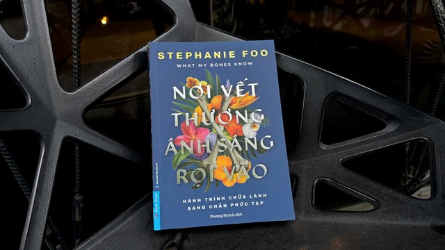 ‘Nơi vết thương ánh sáng rọi vào’ - Bức tranh đa màu và chân thực về Sang chấn Phức tạp - Ảnh 2