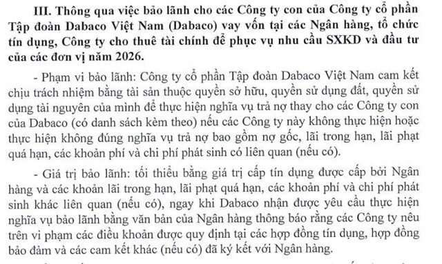 Tập đoàn Dabaco Việt Nam (DBC) đặt mục tiêu lãi trước thuế năm 2026 đạt hơn 1.200 tỷ đồng - Ảnh 2