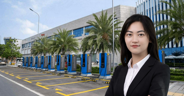 V-GREEN bổ nhiệm Chủ tịch Hội đồng Quản trị mới