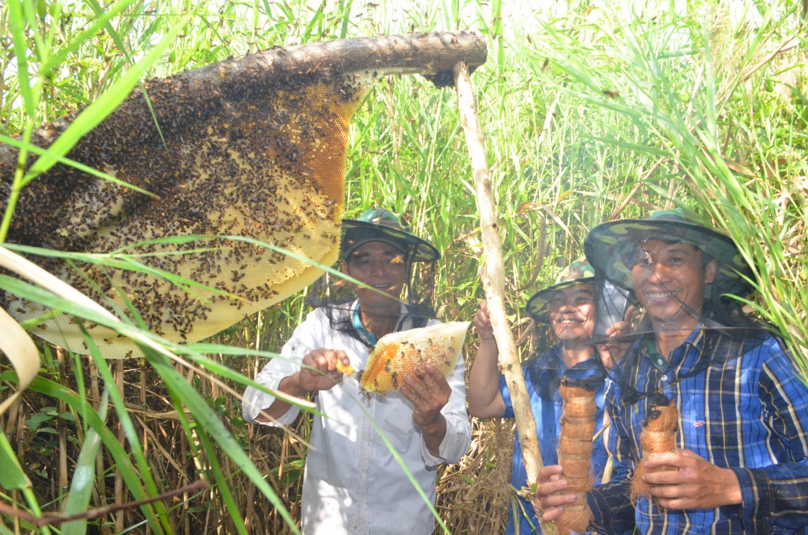 Rừng U Minh Hạ - hương mật, vị đất địa đầu cực Nam Tổ quốc