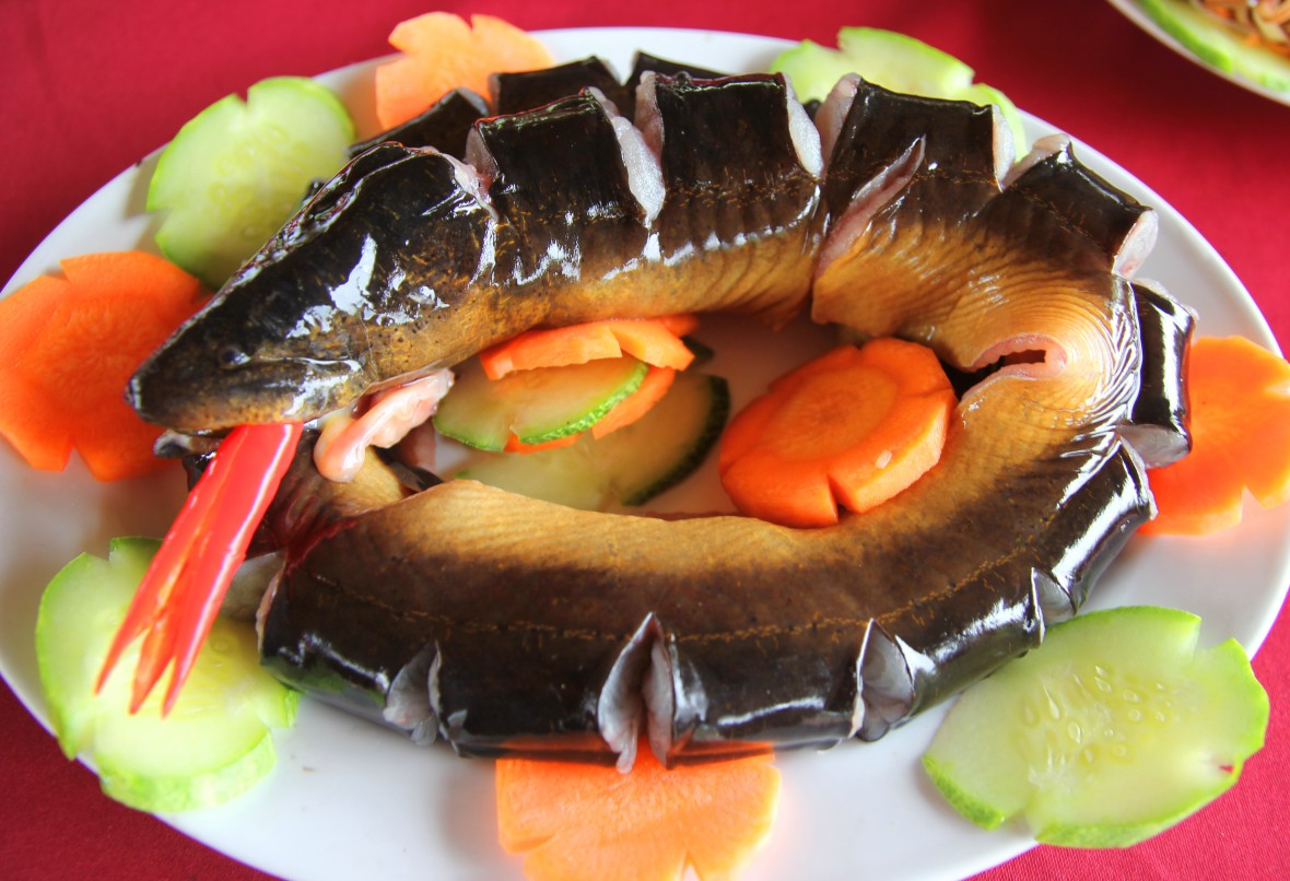 Rừng U Minh Hạ - hương mật, vị đất địa đầu cực Nam Tổ quốc