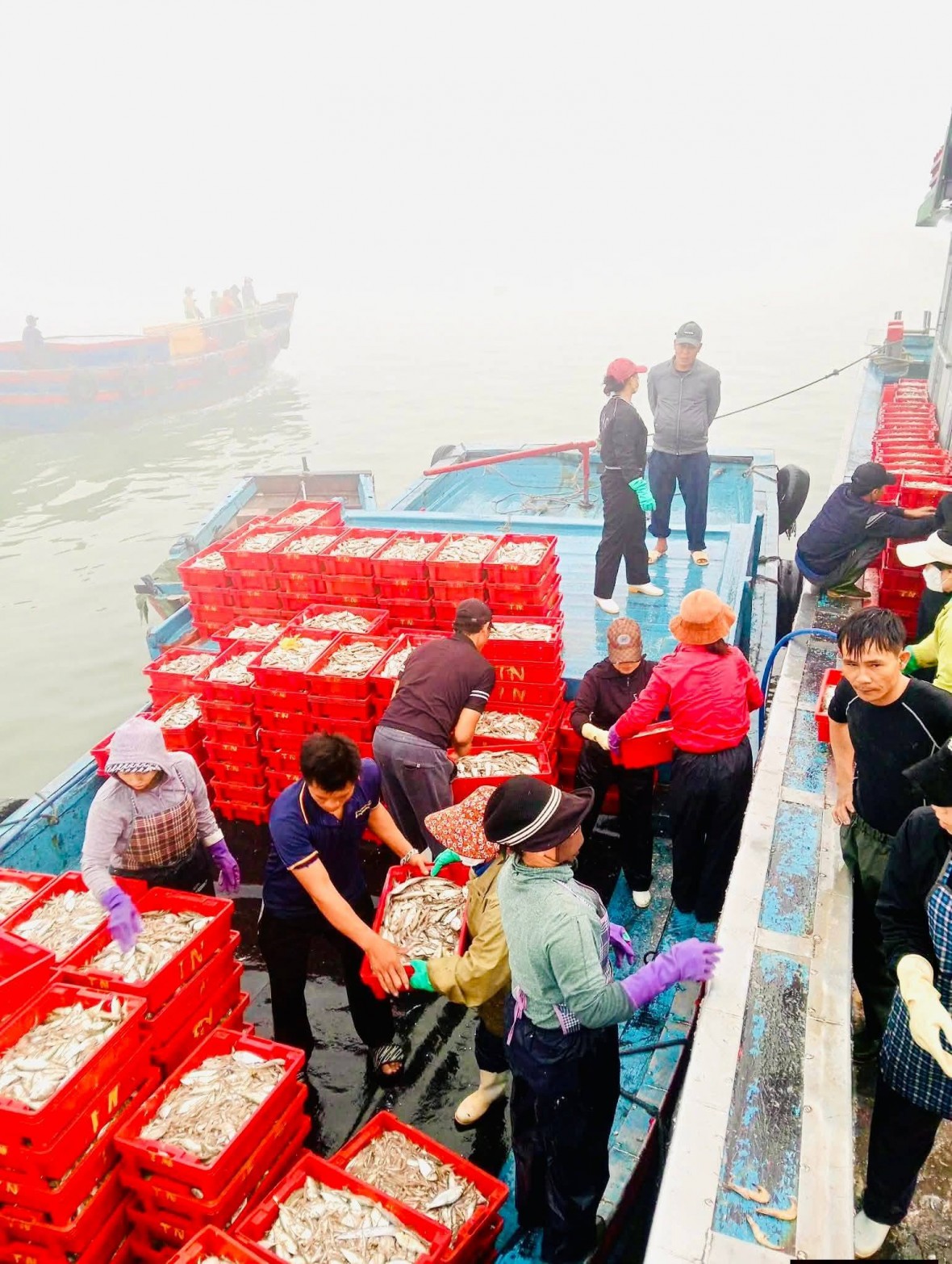 Ngư dân Nghệ An đón 