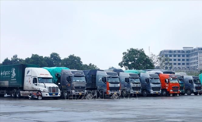 Hơn 800 tấn hàng được xuất qua cửa khẩu Lào Cai