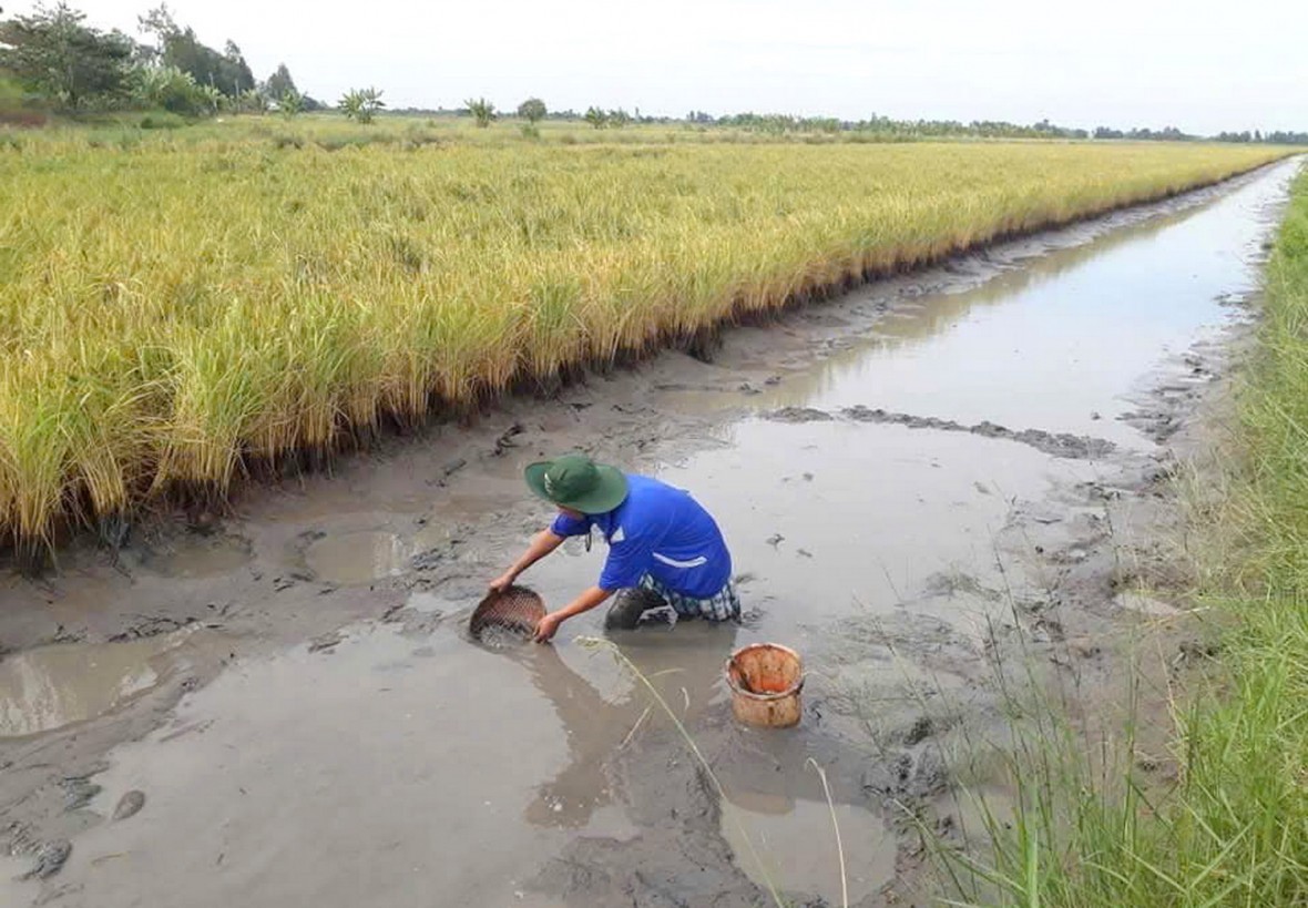 Cà Mau: Trụ đỡ tăng trưởng năm 2025, hướng tới phát triển hiện đại, bền vững Cà Mau: Trụ đỡ tăng trưởng năm 2025, hướng tới phát triển hiện đại, bền vững