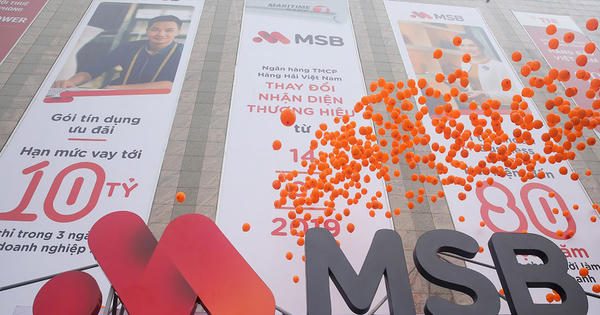 Nhiều lần giao dịch bất thành, cổ đông Nhà nước tiếp tục đăng ký thoái sạch vốn tại MSB