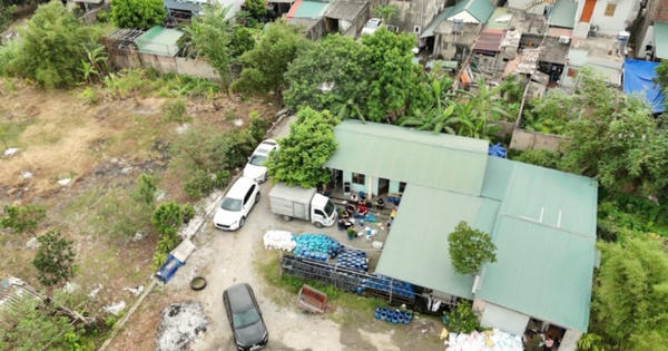 Quảng Ninh phát hiện xưởng giá đỗ dùng chất cấm, thu giữ 4 tấn hàng