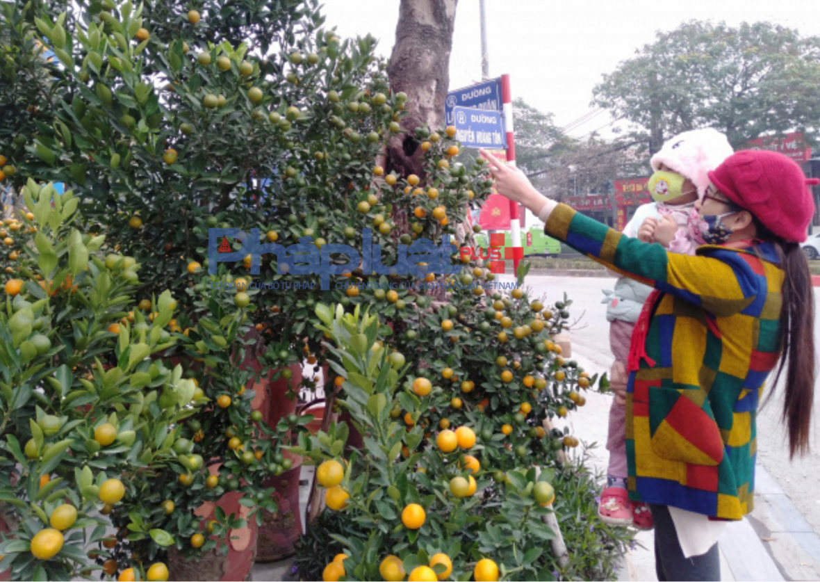 Thời tiết ngày mùng 2 Tết: Không khí lạnh tăng cường, Bắc Bộ mưa rét