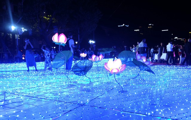 dscf2479 168925891365937224587