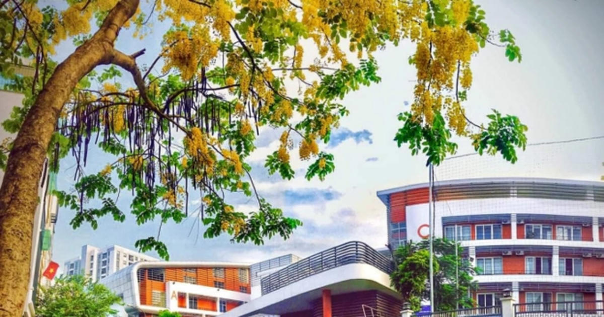 Không được ghép tiếng Việt và tiếng nước ngoài khi đặt tên trường đại học