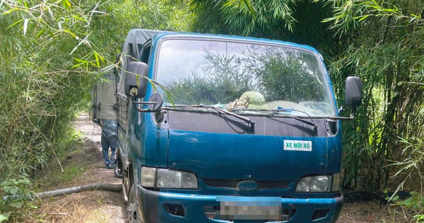 Xe tải chở chất thải bị bắt quả tang đổ trộm ra môi trường ở phường Nhơn Trạch