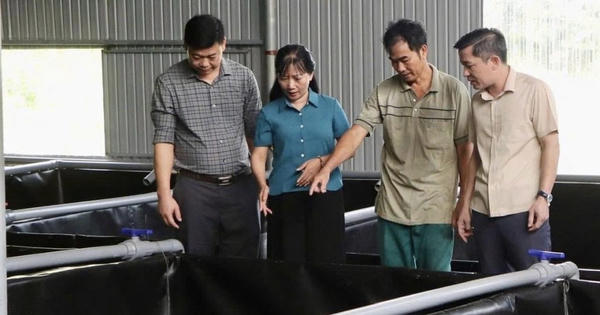 Hà Tĩnh hỗ trợ gần 10 tỷ đồng với các mô hình sinh kế cho người dân