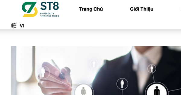 Công ty cổ phần Tập đoàn ST8 bị Thanh tra Chứng khoán xử phạt 125 triệu đồng