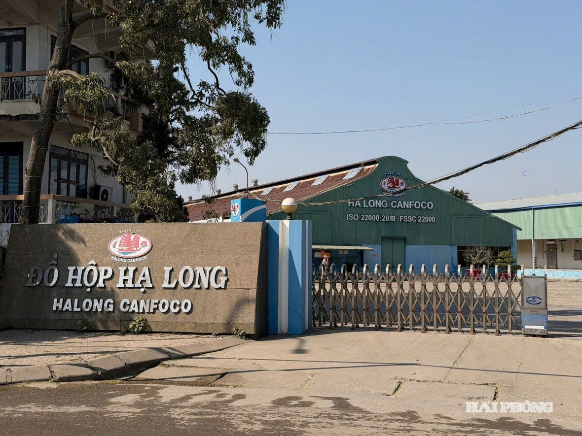 Bắt Tổng giám đốc Công ty CP Đồ hộp Hạ Long trong vụ thịt lợn nhiễm dịch