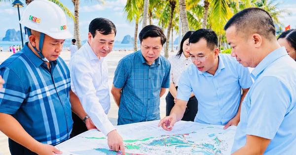 Đoàn khảo sát liên ngành Trung ương khảo sát tại đặc khu Vân Đồn