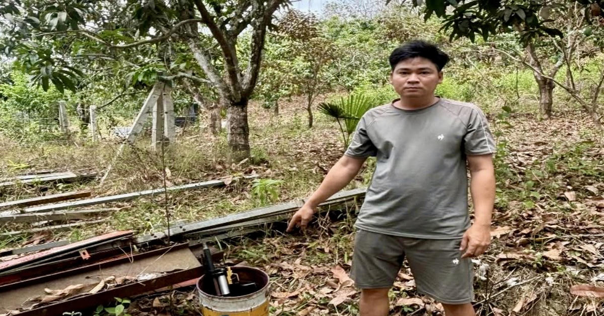 Bị điều tra tàng trữ vũ khí quân dụng sau vụ đi bắn chim khiến bạn bị thương