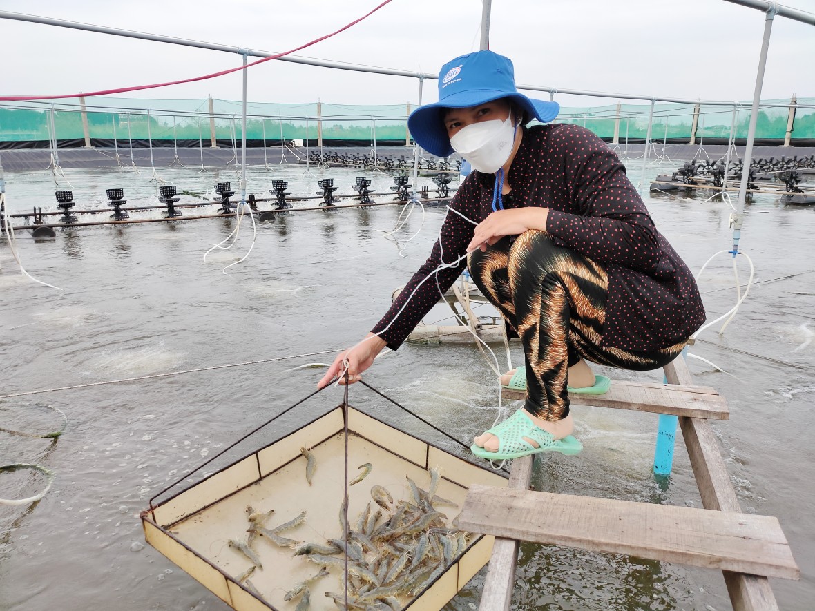 Xã Đông Hải (Cà Mau): Vận hành chính quyền hai cấp hiệu quả, mở đường cho phát triển bền vững Xã Đông Hải (Cà Mau): Vận hành chính quyền hai cấp hiệu quả, mở đường cho phát triển bền vững
