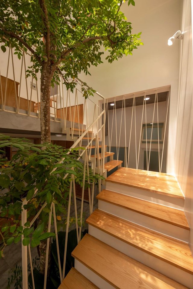  Giếng trời kết hợp với cầu thang, phần mái hai lớp đóng vai trò như “lõi xanh” của công trình. Ngoài ra cây xanh được trồng ở nhiều không gian đem lại cảm giác thoáng mát, gần gũi vơi thiên nhiên. 