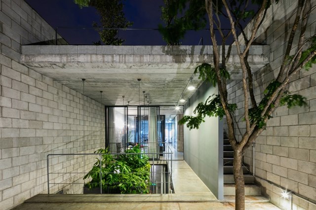 M&agrave;u xanh của l&aacute;, của hoa, g&oacute;p phần l&agrave;m giảm sự th&ocirc; cứng của những bức tường b&ecirc; t&ocirc;ng.