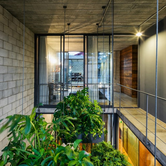 M&agrave;u xanh của c&acirc;y k&eacute;o d&agrave;i từ tầng trệt l&ecirc;n đến tầng m&aacute;i.