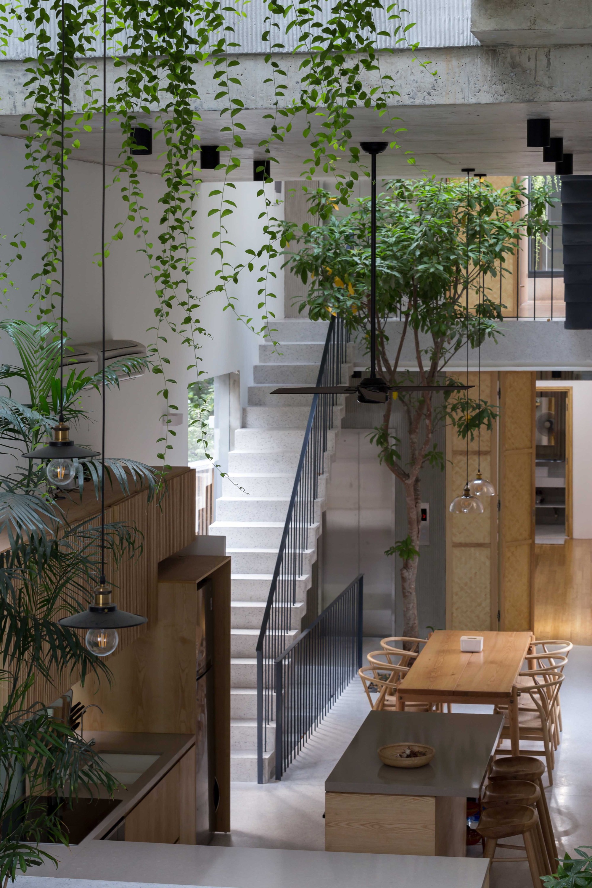 Không gian sinh hoạt chung được sắp xếp và thiết kế với độ cao sàn khác nhau, kết nối phòng khách, thư viện, phòng ăn bằng bậc thang. Điều này giúp không gian chung được mở rông hợn tạo cảm giác thoáng mát mặc dù chiều ngang của căn nhà khá khiêm tốn.