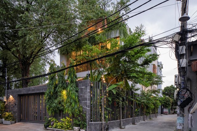 Ở ng&ocirc;i nh&agrave; n&agrave;y, ch&uacute;ng ta cũng dễ d&agrave;ng nhận thấy sự sắp xếp theo cấp độ ph&acirc;n chia, để tạo sự ri&ecirc;ng tư v&agrave; tối ưu h&oacute;a kh&ocirc;ng gian cho c&acirc;y ph&aacute;t triển.