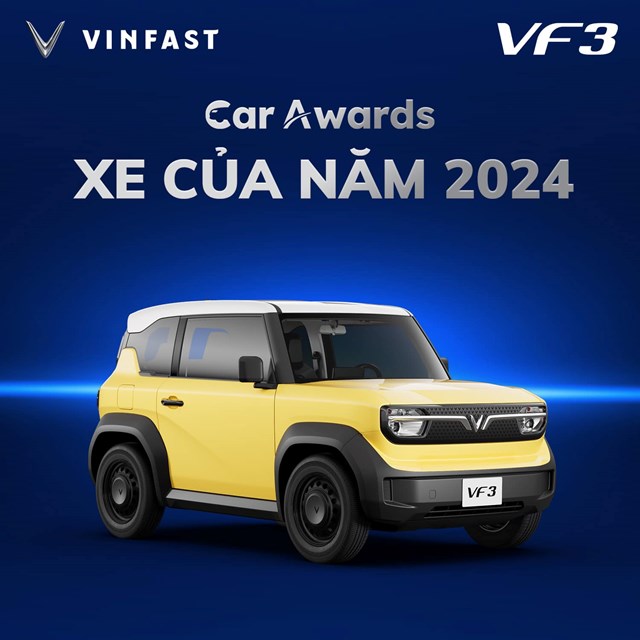 VinFast đạt kỷ lục bàn giao hơn 16.000 ô tô điện trong tháng 11/2024 - Ảnh 2