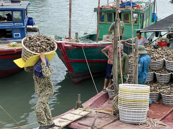 Xuất khẩu nông sản thu được gần 4 tỉ USD