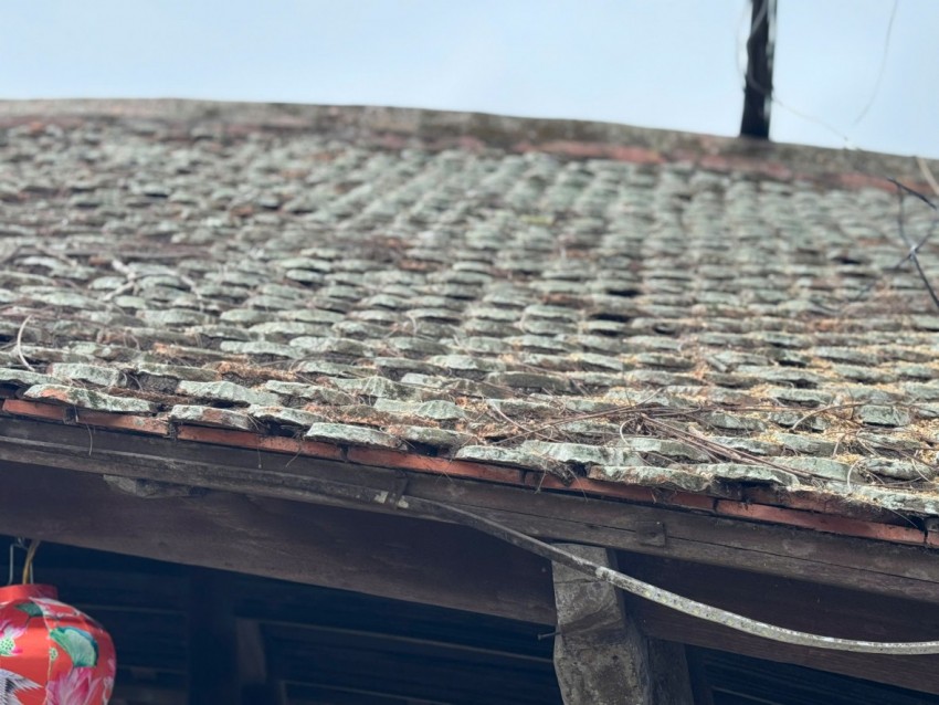 Cầu ngói dáng rồng trên 500 tuổi hút khách đến checkin dịp Tết Bính Ngọ Cầu ngói dáng rồng trên 500 tuổi hút khách đến checkin dịp Tết Bính Ngọ