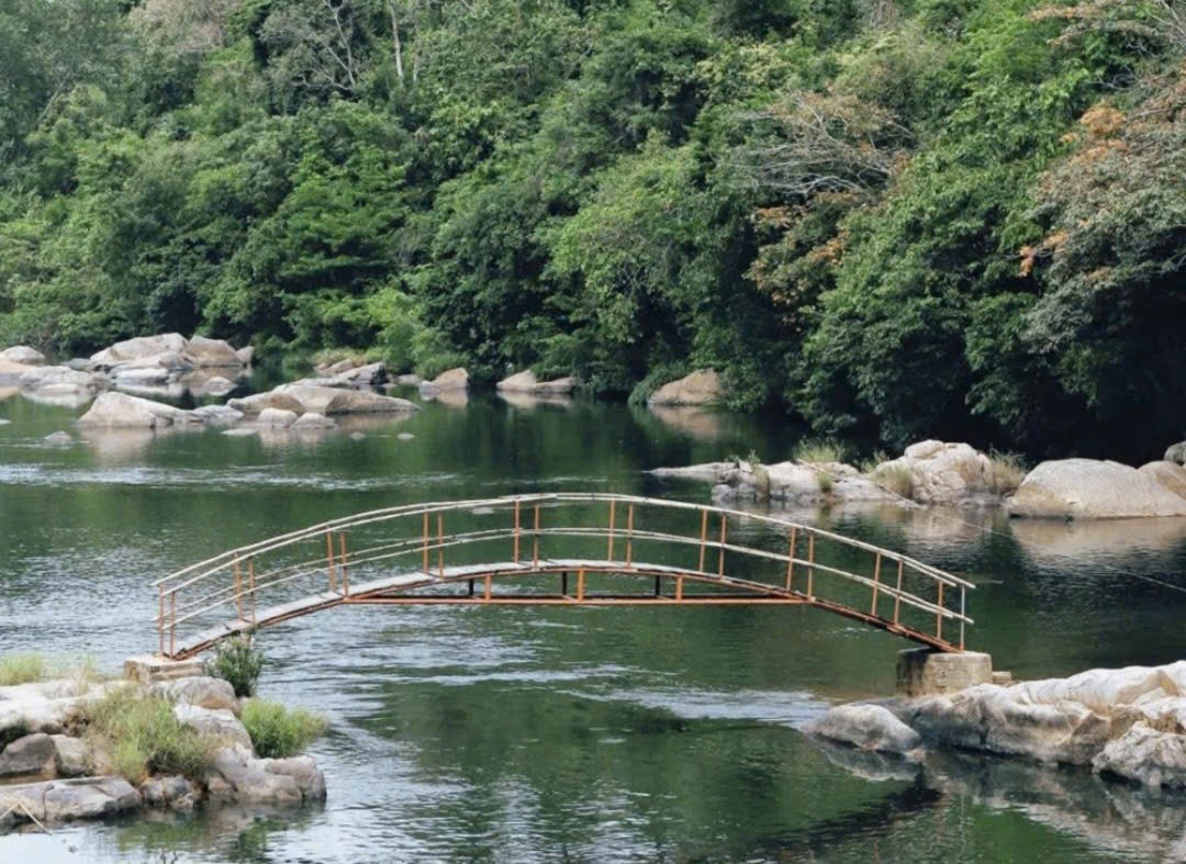 Từ Hầm Hô đến chiến thắng Ngọc Hồi-Đống Đa: Dòng chảy thiên nhiên và hào khí Tây Sơn