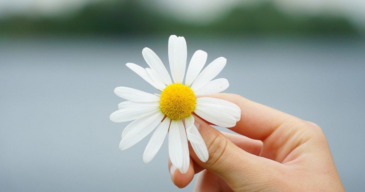 Nửa đời còn lại: Học chữ Buông! Nửa đời còn lại: Học chữ Buông!