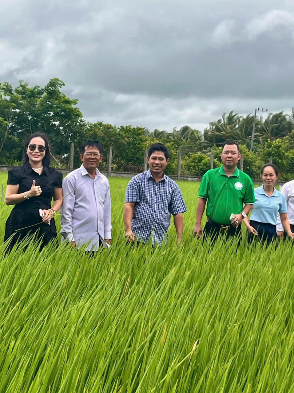 Toàn Cầu Group bứt phá với chiến lược nông nghiệp xanh và mục tiêu 100.000 ha lúa chất lượng cao