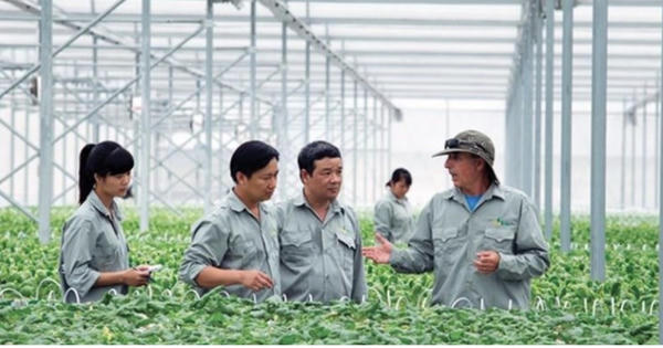 Siết chặt trách nhiệm và ưu đãi trong chuyển giao công nghệ nông nghiệp
