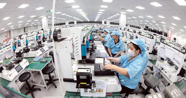Chính phủ quy định về Luật Thương mại và Luật Quản lý ngoại thương về hoạt động mua bán hàng hóa
