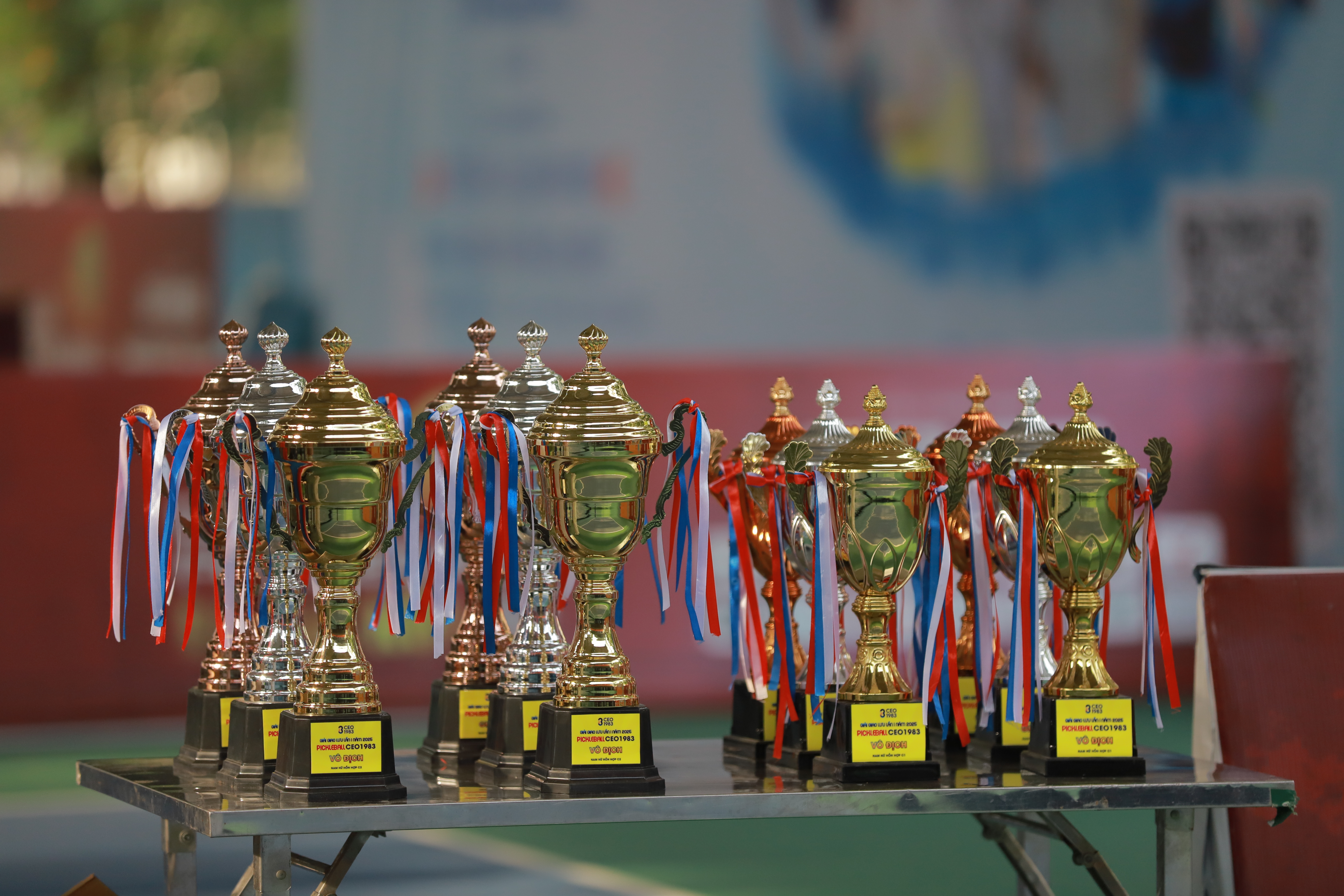 Pickleball CEO 1983: Khi sân chơi thể thao trở thành cầu nối gắn kết doanh nhân - Ảnh 2