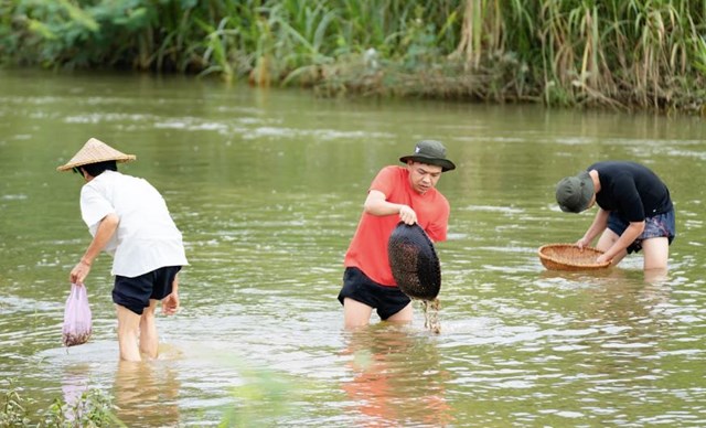 C&aacute;c bố c&ugrave;ng m&ograve; ốc