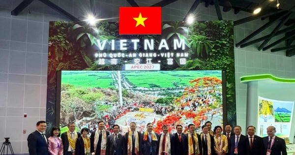 Hơn 120 doanh nghiệp Việt Nam tham dự CAEXPO 2026