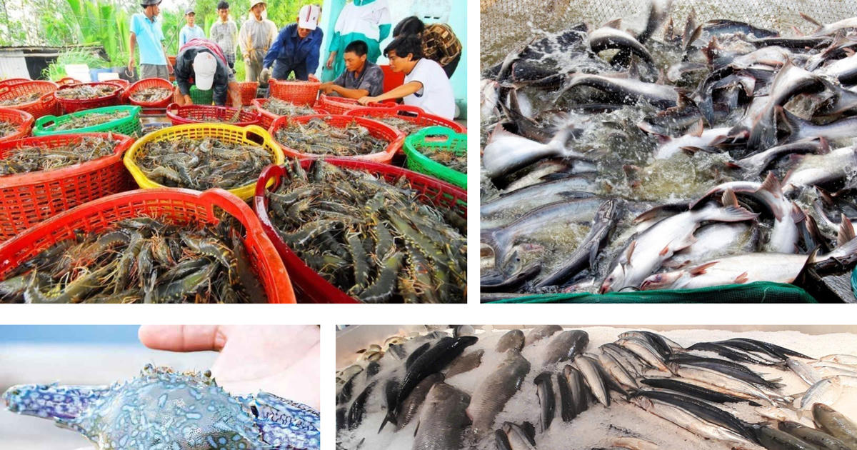 Xuất khẩu thủy sản quý I/2026 tăng 8%, Trung Quốc đóng vai trò dẫn dắt của toàn thị trường