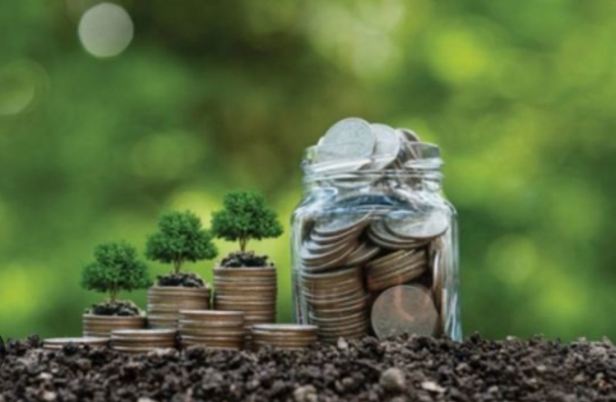 Đơn giản hóa hồ sơ miễn giảm tiền thuê đất cho người nộp thuế