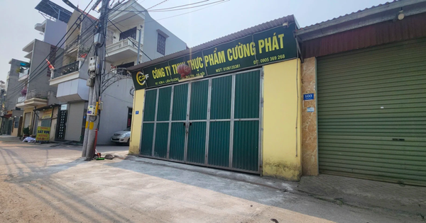 Công ty TNHH Thực phẩm Cường Phát tuồn thịt lợn bẩn vào các trường học năng lực ra sao?
