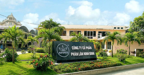 Chia cổ tức tỷ lệ 50%, Phân lân Ninh Bình (NFC) hướng tới năm thứ 5 liên tiếp lập đỉnh lợi nhuận