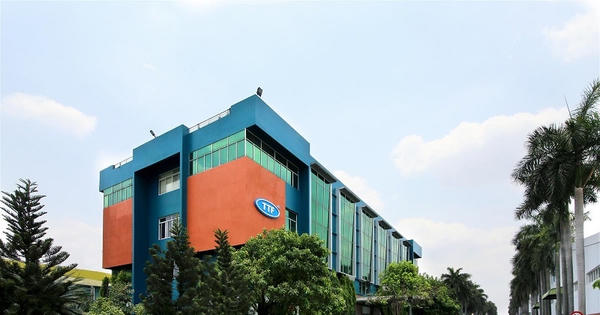 Gỗ Trường Thành (TTF): Đặt mục tiêu lãi 50 tỷ đồng năm 2025, tiếp tục không chia cổ tức do lãi lũy kế hơn 3.200 tỷ