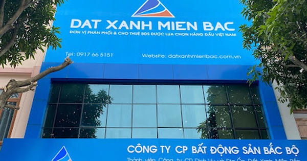Đất Xanh Miền Bắc bị phạt 92,5 triệu đồng vì vi phạm công bố thông tin
